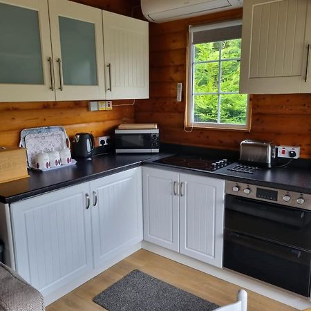 Mountain View Log Cabin In Snowdonia Nr Coed Y Brenin Tanygrisiau Exterior photo