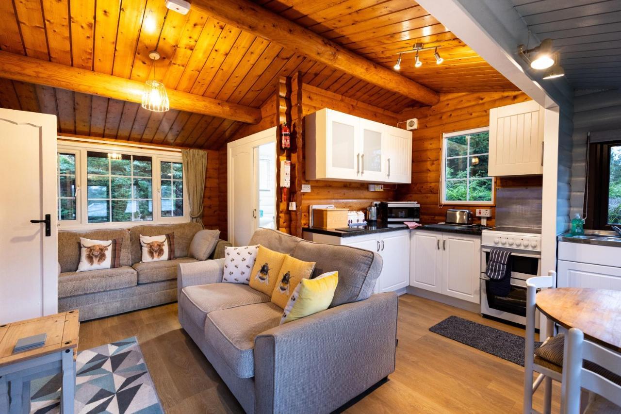 Mountain View Log Cabin In Snowdonia Nr Coed Y Brenin Tanygrisiau Exterior photo